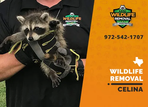 Celina Wildlife Removal professional removing pest animal