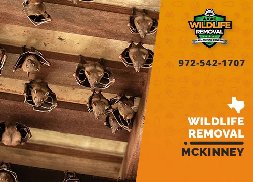 McKinney Wildlife Removal professional removing pest animal